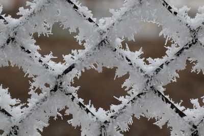 Full frame shot of snowflakes