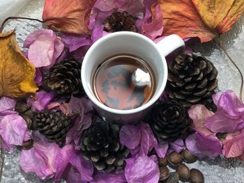 High angle view of roses on table