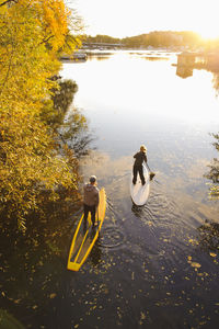 Two people rowing paddle boards in autumn trees, elevated view