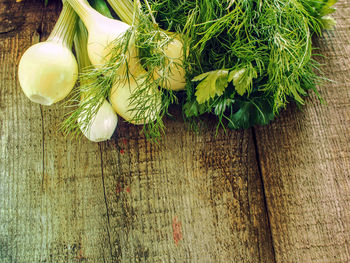 Close-up high angle view of wooden plant