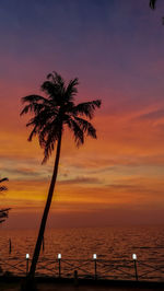 Silhouette palm tree by sea against romantic sky at sunset