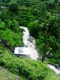 Stream flowing through rocks