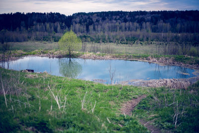 Scenic view of lake