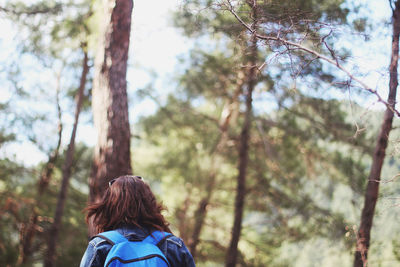 Woman standing on tree trunk in forest