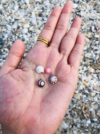 Close-up of person hand holding pebbles