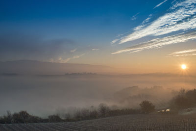 Scenic view of field against sky during sunset