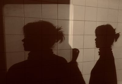 Rear view of silhouette man standing in bathroom