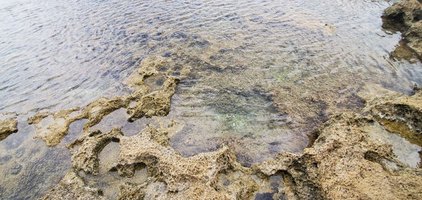 High angle view of rock on beach