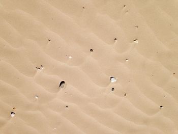 Full frame shot of sandy field