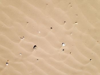 Full frame shot of sandy field