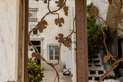 architecture