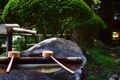 Fountain in garden