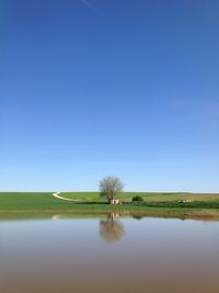 Scenic view of landscape against clear sky