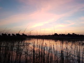 Scenic view of lake against cloudy sky during sunset