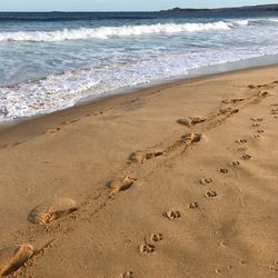 Footprints on sand at beach