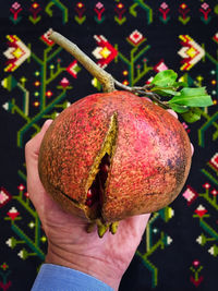 Close-up of hand holding pomegranate 
