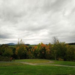 Trees growing on field against sky