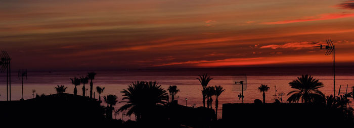 Silhouette palm trees by sea against romantic sky at sunset