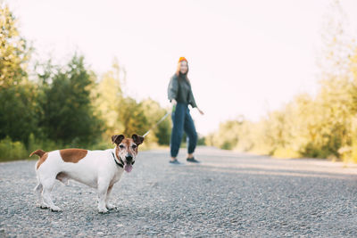 Full length of man with dog on road