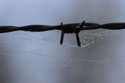 Close-up of water drops on spider web against sky