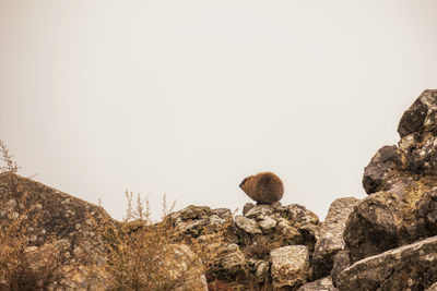 Rock formations against sky