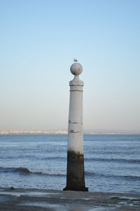 Seagull perching on wooden post in sea against clear sky