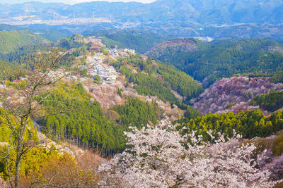 High angle view of trees and mountains