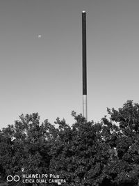 Low angle view of trees against clear sky