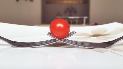 Close-up of tomatoes in plate