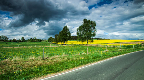 Scenic view of field against sky