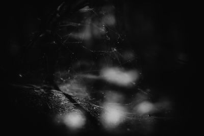 Close-up of spider web against black background