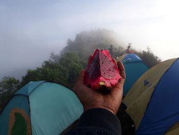 Cropped hand holding pitaya on mountain