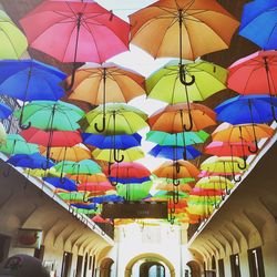 Low angle view of colorful lights