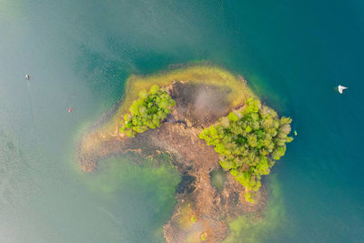 Aerial spring sunny view of galve lake, trakai