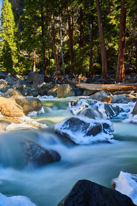 Scenic view of waterfall in forest