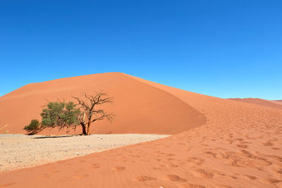Sand dune in namib-naukluft national park