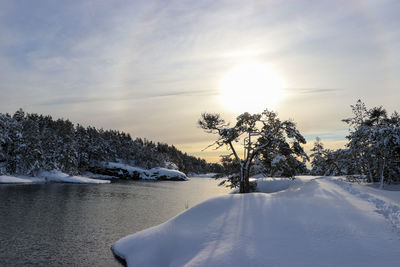 Scenic view of snow covered trees against sky during sunset