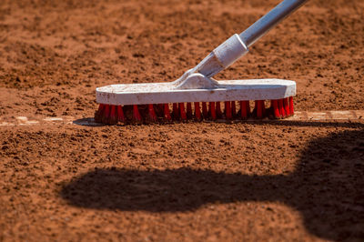 Close-up of brush on dirt land