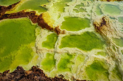 Full frame shot of water on land