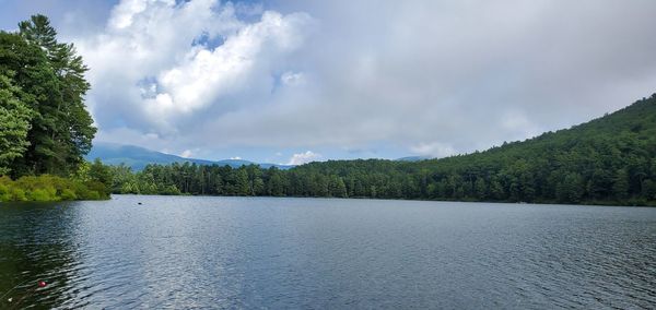 Scenic view of lake by trees against sky