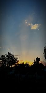 Silhouette trees against sky during sunset