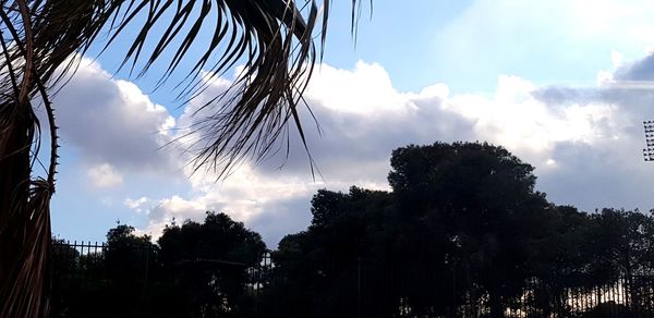 Low angle view of silhouette trees against sky