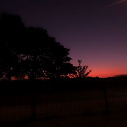 Silhouette trees on landscape against sky at sunset