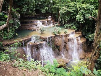 Scenic view of waterfall in forest