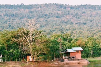 Plants and trees on field against mountain