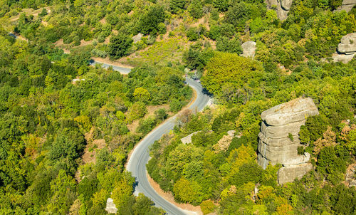 High angle view of road amidst trees in forest