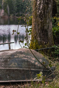 View of a lake along trees