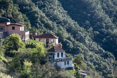 High angle view of trees and house in forest