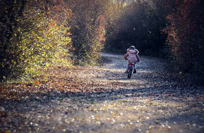 Rear view of child riding bicycle on road during autumn