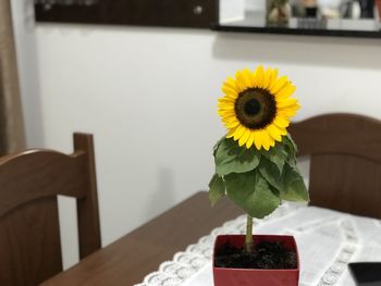 Close-up of yellow flower vase on table at home